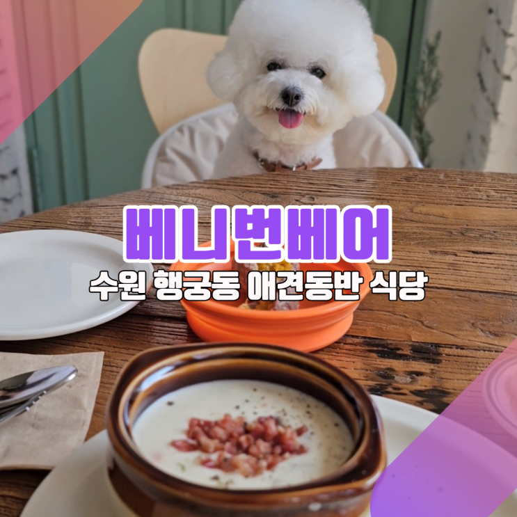  [수원 행리단길 실내 애견동반]느슨해진 행리단길에 기강 잡으러 온 신상 애견동반 레스토랑