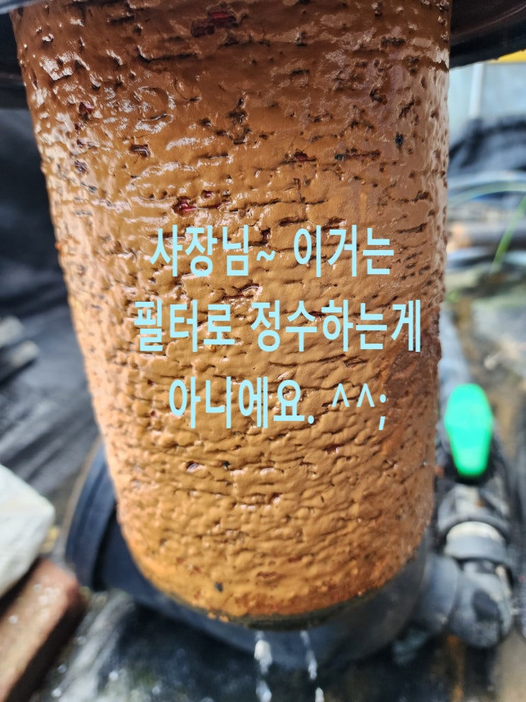 경남 함안 농장 지하수 녹물, 황토,짠물 입니다.