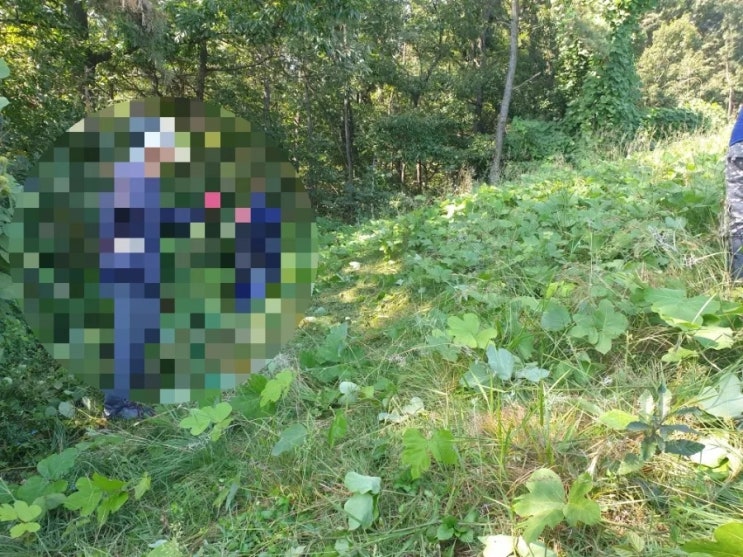  2023년 김천 남면 봉천리 혁신도시 2기벌초 고인돌장묘개발장의사 #선산벌초 #구미벌초 #황간벌초 #영동벌초 #성주벌초 #상주벌초 #문경벌초 #칠곡벌초 #벌초대행