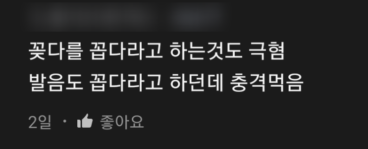  '충전기를 꼽다'는 틀렸다? 꽂다 vs 꼽다