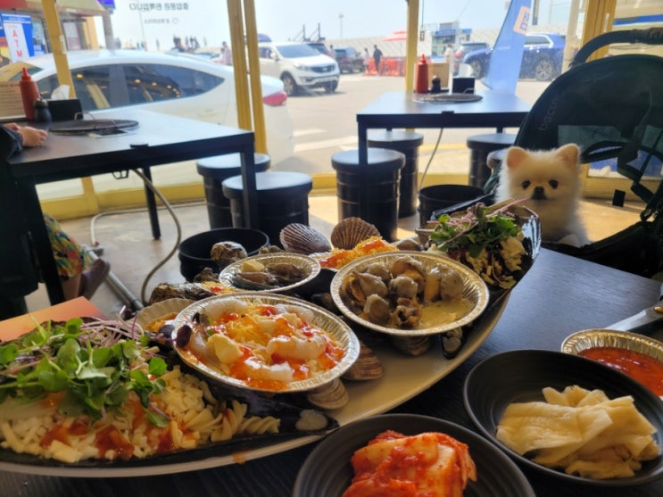  경기도 오이도여행 애견동반 [청춘브라더스] 조개무한리필 맛집 검증 내돈내산 솔직후기