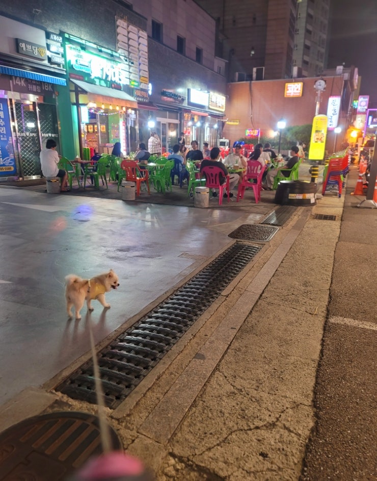  시흥사거리 79대포 야외포차 금천구 가성비 술집