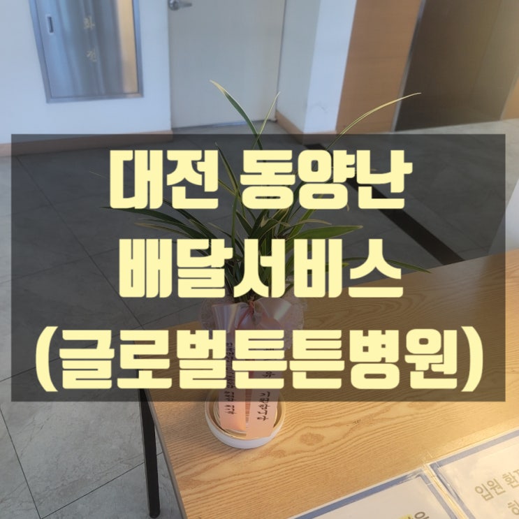  동양난 배달했습니다.(대전 글로벌튼튼병원)
