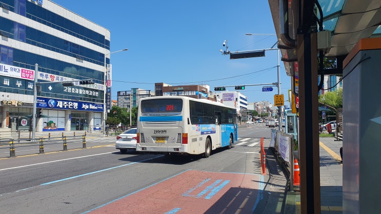  버스타고 제주도 여행하는 방법