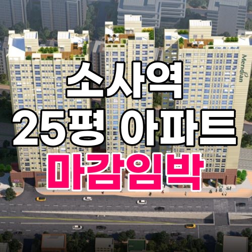  부천 소사역 빌라 가격 수준의 25평 아파트 월드메르디앙 소사역 분양 마감 예정입니다.