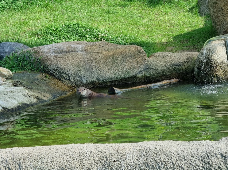 청주여행 사진 기록 : 청주랜드 동물원(청주동물원)