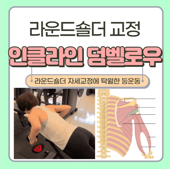  인클라인 덤벨로우 운동방법(아령 5kg) 근육 및 장점 자세교정에 탁월(라운드숄더)