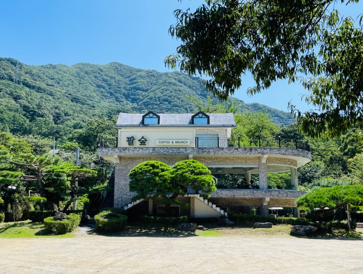  [내돈내산] 남양주 숲속 느낌의 힐링 레스토랑 겸 카페, 팔숲