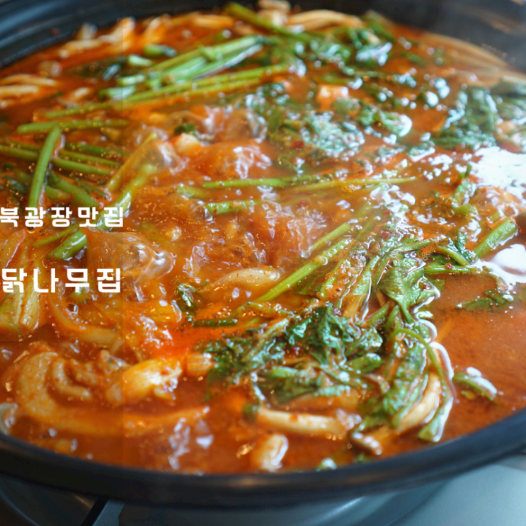  동탄 북광장 술집 닭나무집 닭매운탕 닭튀김