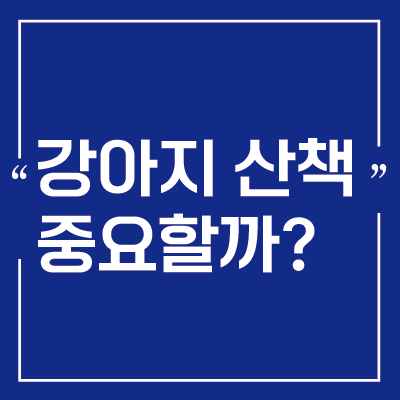  강아지 산책 후 발 관리 어떻게 하세요? / 강아지 산책 후 발 관리