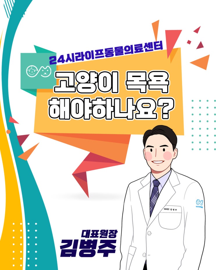 대구고양이동물병원 : 고양이 목욕 해야하나요 고양이샤워 냥빨 전 읽어보세요 대구고양이동물병원 : 고양이 목욕 해야하나요 고양이샤워 냥빨 전 읽어보세요