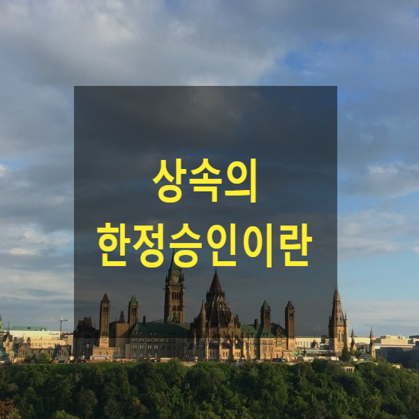  상속의 한정승인이란(사례)