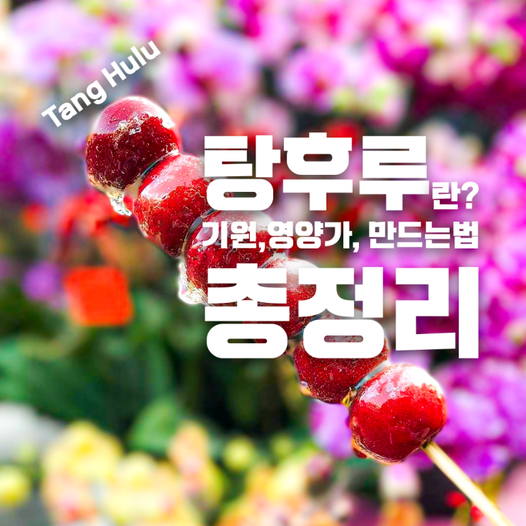 탕후루(Tang hulu)의 기원과 역사 그리고 탕후루만들기 by 짱꾜(jjanggyo)