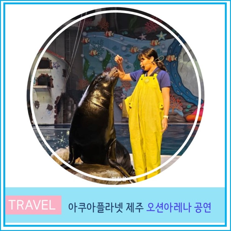  아쿠아플라넷 제주 아쿠아리움 오션아레나 공연 시간 입장료 관람시간 주차장