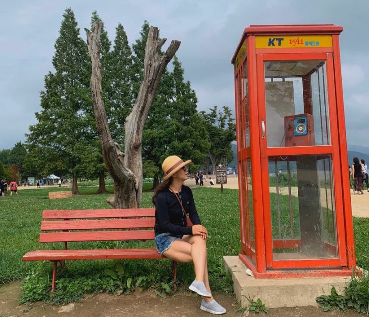  경기도양평 당일치기 가볼만한곳 두물머리 여행 (입장료,주차정보,애견동반)
