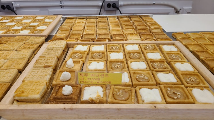 제주 동문시장맛집 찰리공장 제주초콜릿 마음샌드 버터샌드 제주 동문시장맛집 찰리공장 제주초콜릿 마음샌드 버터샌드