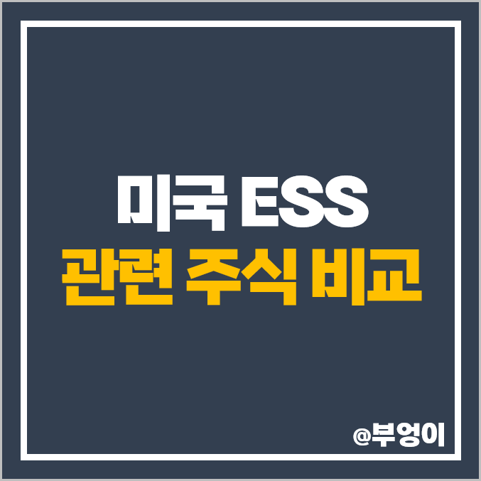 미국 ESS 관련주 배터리 주식 종류 테슬라 니오 주가 배당금 미국 ESS 관련주 배터리 주식 종류 테슬라 니오 주가 배당금