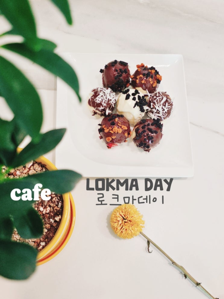  광교 애견동반 도넛맛집 로크마데이, 겉바속쫀득 식감 대잔치