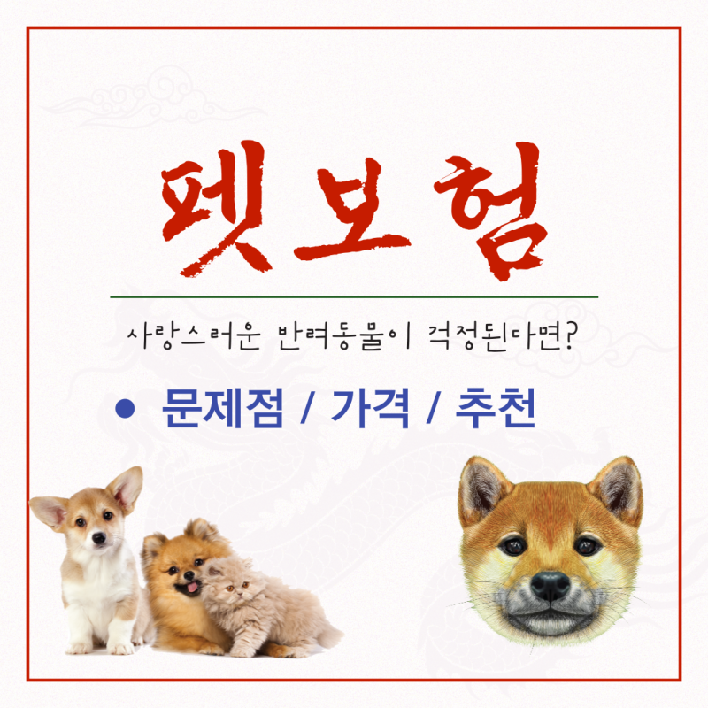 펫보험 문제점 가격 제대로 따져서 비교했습니다! 무조건 있어야 하는 항목 추천