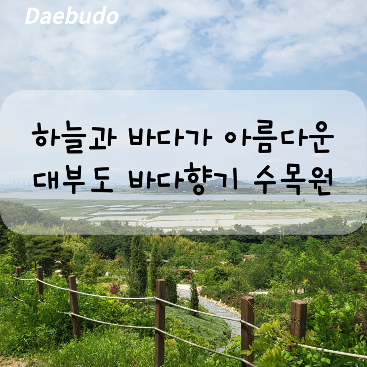  대부도 나들이 하기 좋은 바다향기 수목원 솔직 후기