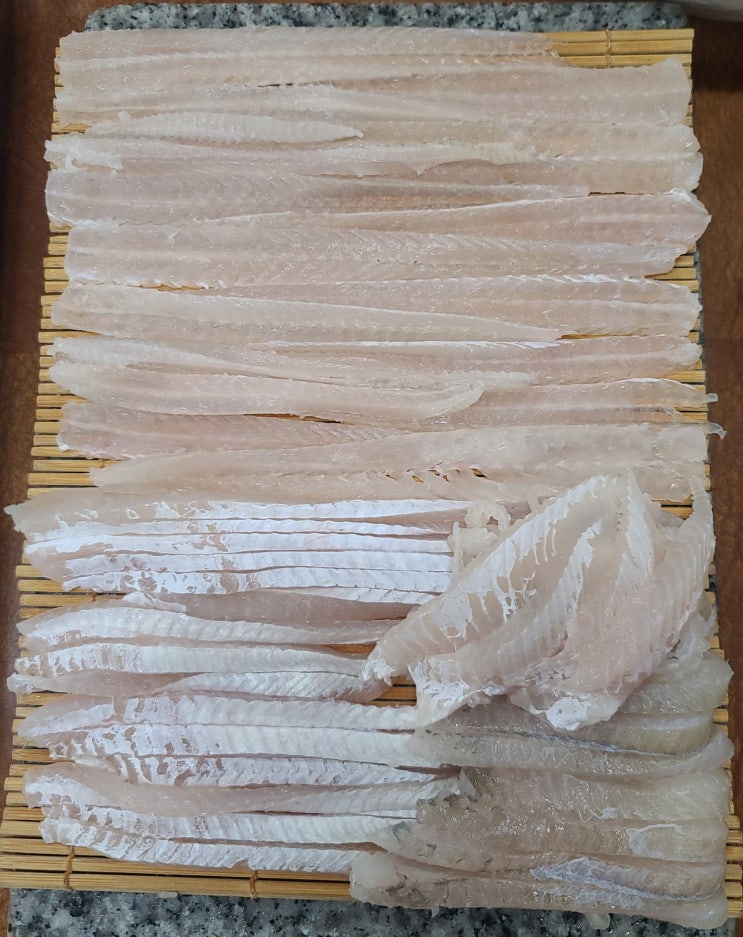  흔한 광어 우럭이 질린다면 마산 만선참가자미회