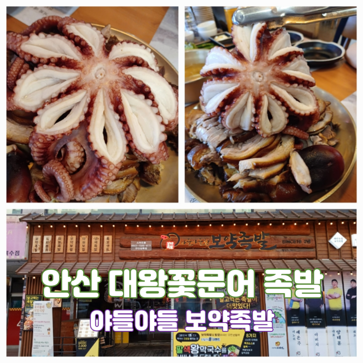 안산 본오동 먹자골목 족발 맛집 야들야들보약족발 상록수점 대왕 꽃문어 족발 맛집 후기 안산 본오동 먹자골목 족발 맛집 야들야들보약족발 상록수점 대왕 꽃문어 족발 맛집 후기