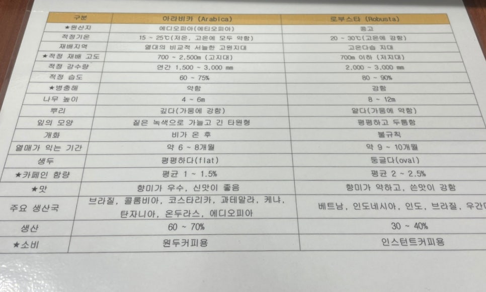 도하커피랩 사진 4
