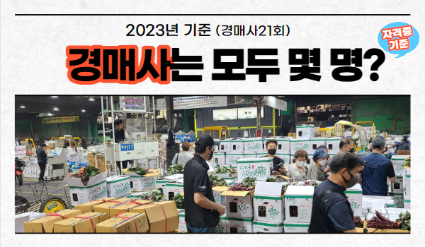 2023년 기준으로 경매사 자격시험 합격자는 모두 몇명이지?