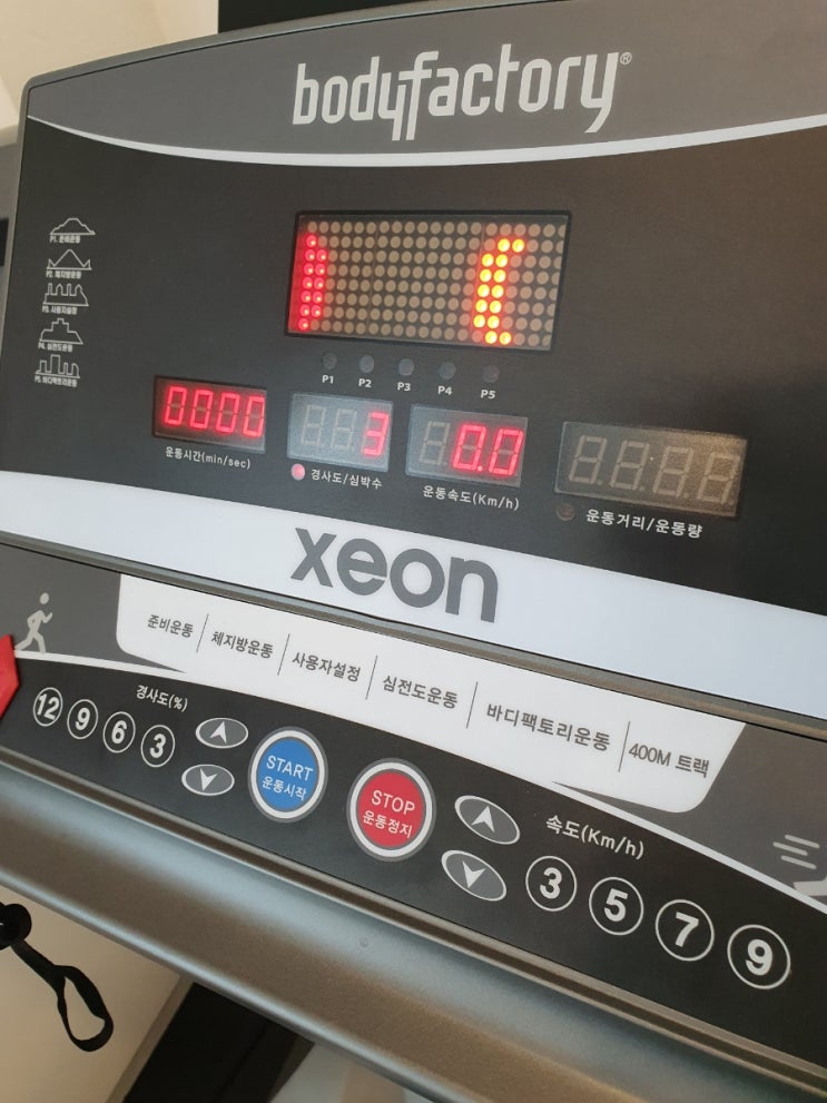  낡은 세포 노화된 세포를 없애는 방법 #간헐적단식