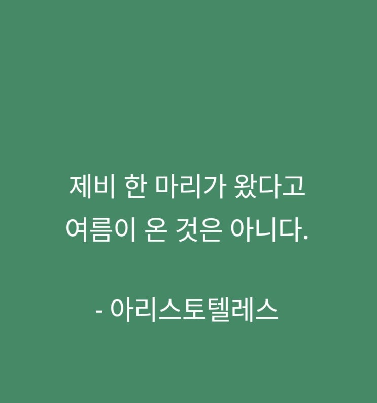 맥스마케터의 오후의 비타민 맥스마케터의 오후의 비타민