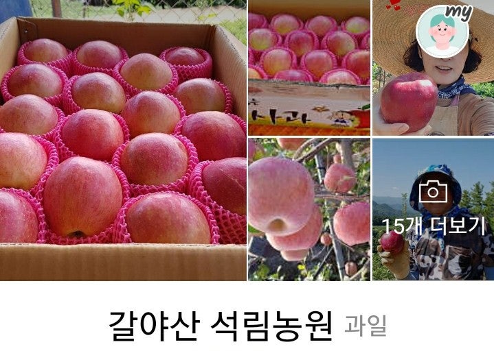 석림농원 사진 6