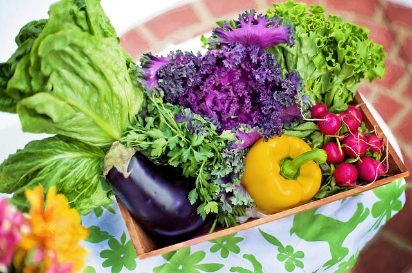 건강을 위한 다양한 식재료와 함께하는 즐거운 건강 레시피 5가지!