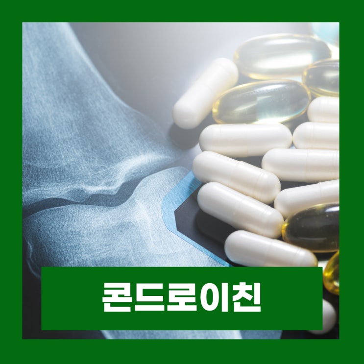  콘드로이친1200 좋은 제품 고르는법 콘도로이친 효능 및 성분