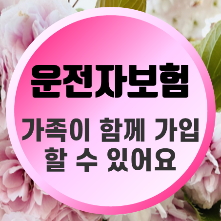  가족운전자보험 가입, 어떻게 하면 되는지 지금 알아볼 시간입니다!