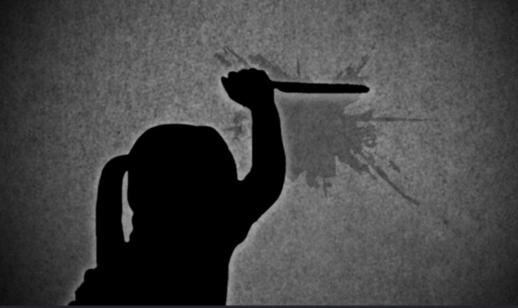 자신의 연락끊고 SNS계정 차단했다는 이유로 친구에게 흉기 휘두른 20대 여성 살인미수 자신의 연락끊고 SNS계정 차단했다는 이유로 친구에게 흉기 휘두른 20대 여성 살인미수