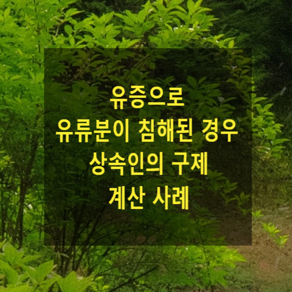  상속 - 유증으로 유류분이 침해된 경우 상속인의 구제 계산 사례