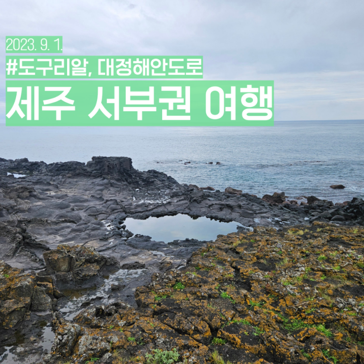  제주 대정읍 해안도로 서부권 가볼만한 곳 돌고래 스팟 신도포구 도구리알