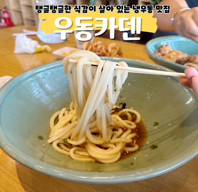 제주 우동카덴 우동과 야채튀김 궁합이 맛이 없을 수 없다 제주 우동카덴 우동과 야채튀김 궁합이 맛이 없을 수 없다