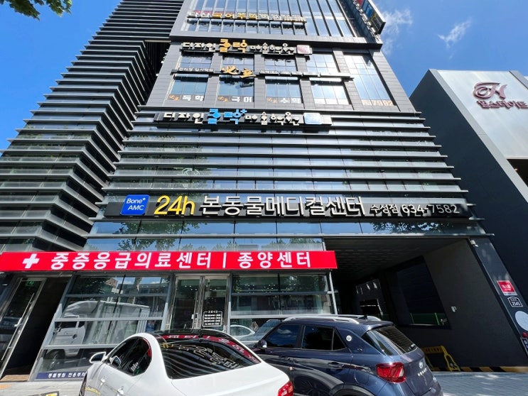  대구 수성구 24시 동물병원 본동물메디컬센터 강아지 혈액검사 후기