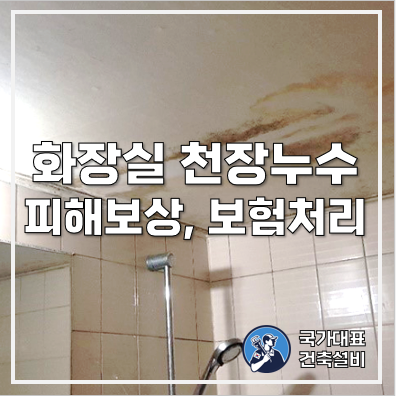  아파트 윗집 화장실 천장 누수 피해보상 및 보험처리(일상생활배상책임특약)