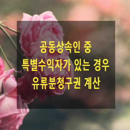  상속 - 공동상속인 중 특별수익자가 있는 경우 유류분청구권 계산