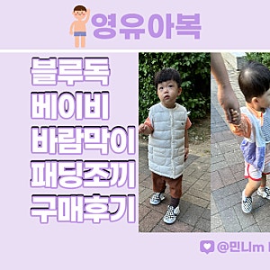환절기 블루독베이비 점퍼(바람막이, 패딩조끼) 추천!