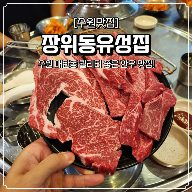  수원 매탄동 한우 맛집 장위동유성집 영통점