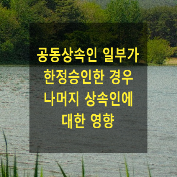  상속 - 공동상속인 일부가 한정승인한 경우 나머지 상속인에 대한 영향