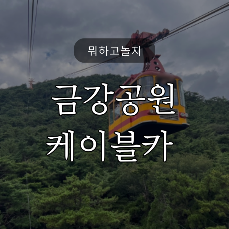  뭐하고놀지? / 부산 동래구 금강공원 케이블카 / 금강웰빙보리밥 / 마미스카페