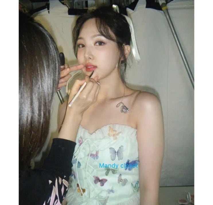 <b>요정</b>같은 <b>트와이스</b> 나연의 나비 코르셋탑 어디꺼?