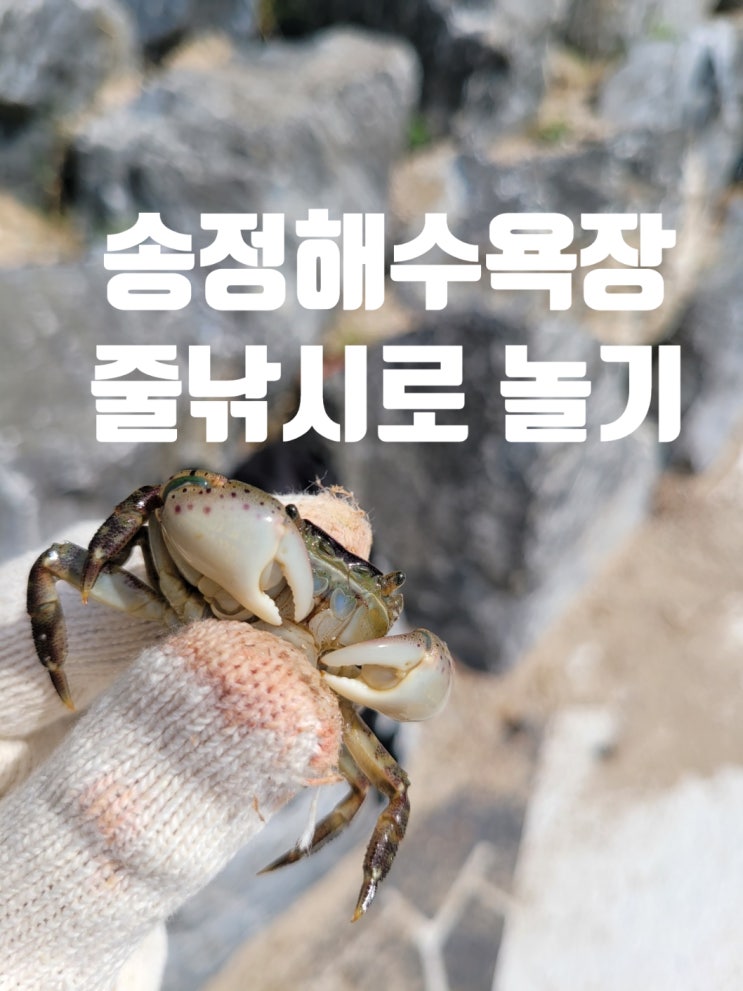 부산 송정해수욕장 줄낚시로 놀아주기