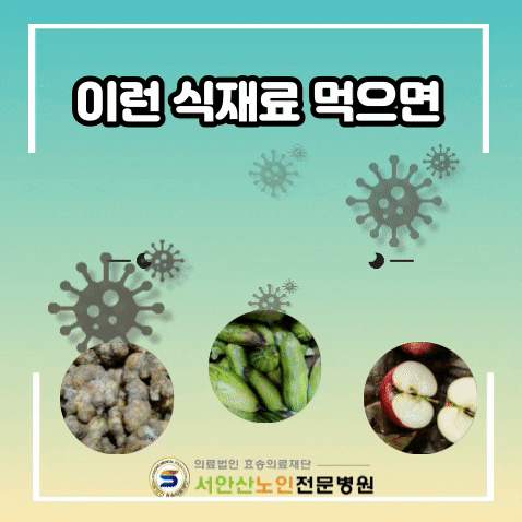  이런 식품을 먹으면 독이 된다고?-생강곰팡이, 마늘곰팡이