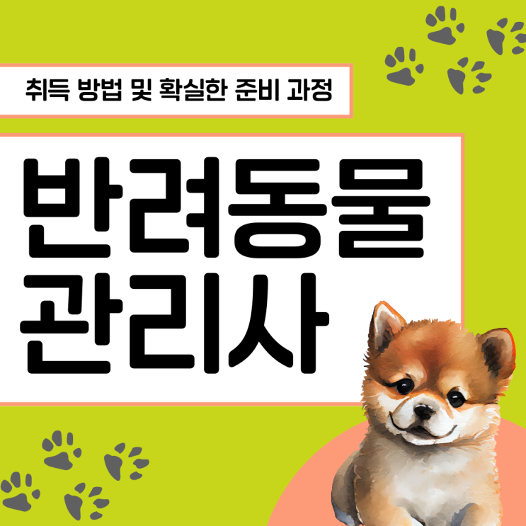 반려동물관리사 자격증 취득 방법 및 확실한 준비 과정(취업 전망) 반려동물관리사 자격증 취득 방법 및 확실한 준비 과정(취업 전망)
