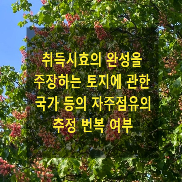  취득시효의 완성을 주장하는 토지에 관한 국가 등의 자주점유의 추정 번복 여부